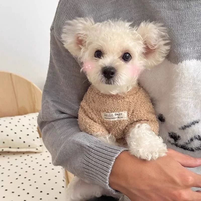 West Highland branco Terrier roupas dedicadas cães tratável algodão acolchoado roupas filhotes outono roupas outono inve
