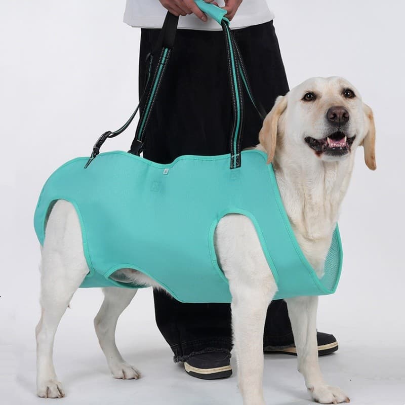 Suporte De Pernas Ajustável Para Cães Grandes E Idosos, Alça De Apoio Para Pets