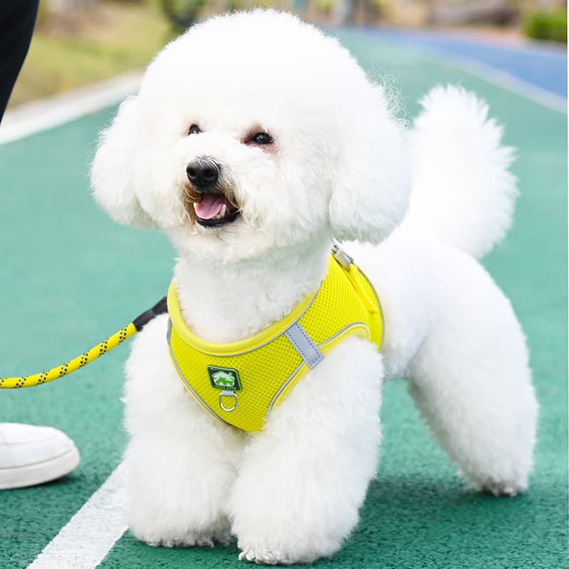Colete tipo trela para cachorro pequeno Bichon Teddy Pomeranian filhote de cachorro filhote de cachorro cinta peitoral t