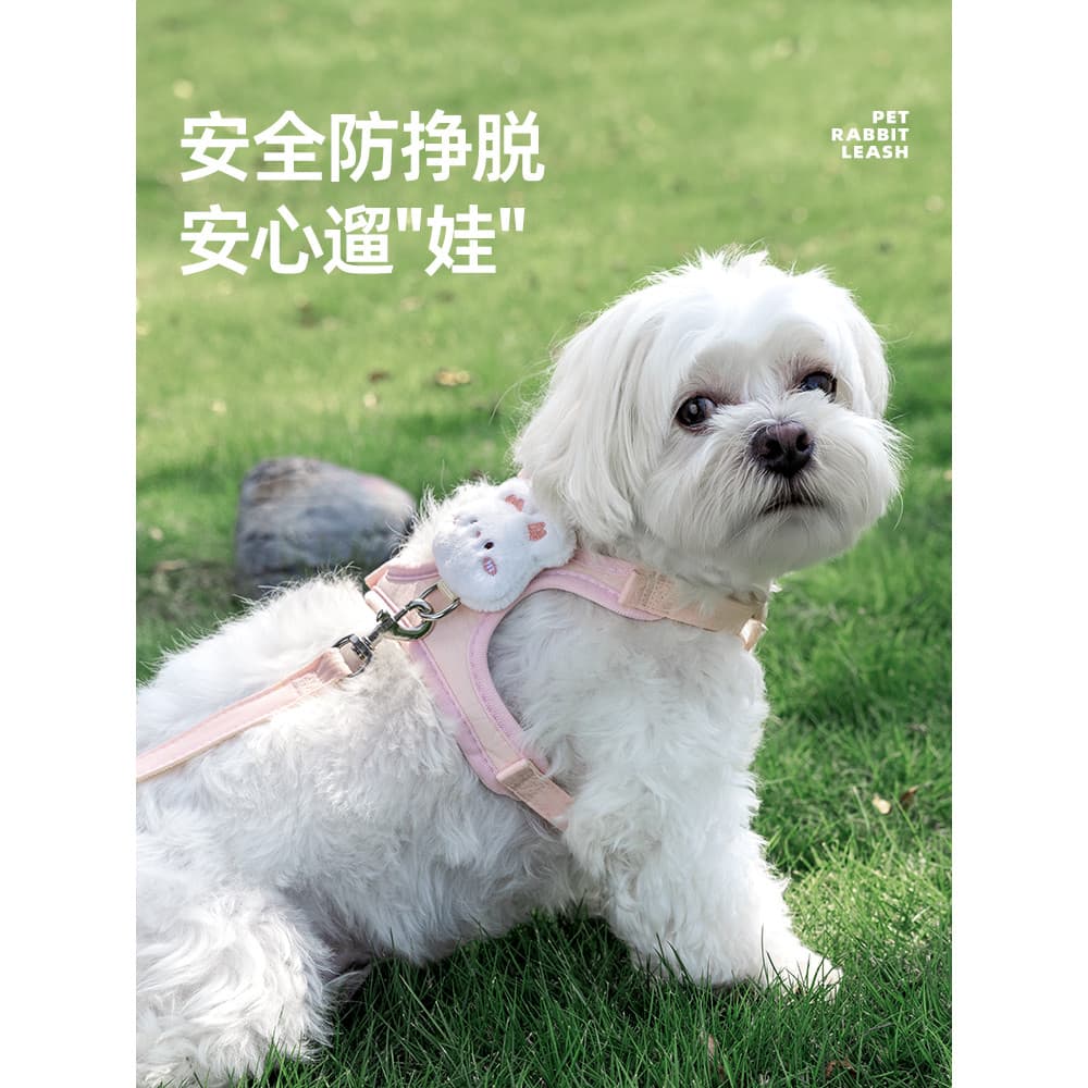 Coleira para cachorro tipo colete, corda para caminhada de cachorro, pelúcia Bichon, alça peitoral para cachorro pequeno