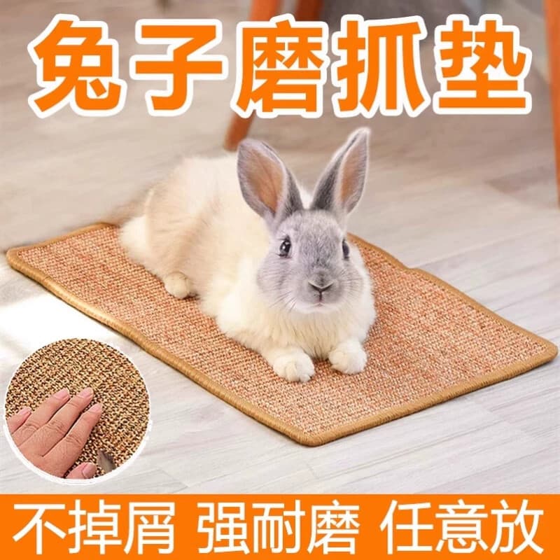 Produto dedicado de brinquedos de coelho