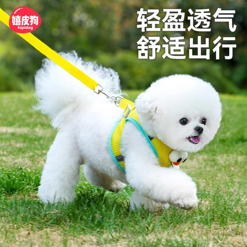 Colete estilo coleira para cachorro pequeno Teddy Bichon Pomeranian filhote de cachorro cinta peitoral corrente para cac