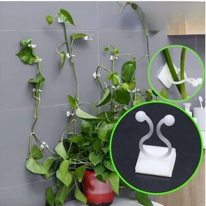 10 Pçs/Set Plástico Invisível Uva Videira Parede Gancho Fixo Clipe Pegajoso Auto-Adesivo Titular Jardim Casa Suporte