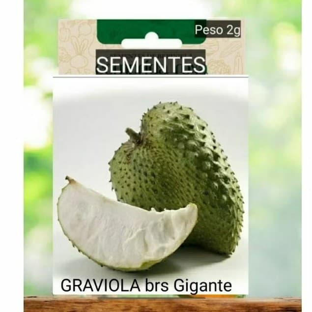 kit Sementes GRAVIOLA GIGANTE.  plante Horta vaso terra Jardim OFERTA #2