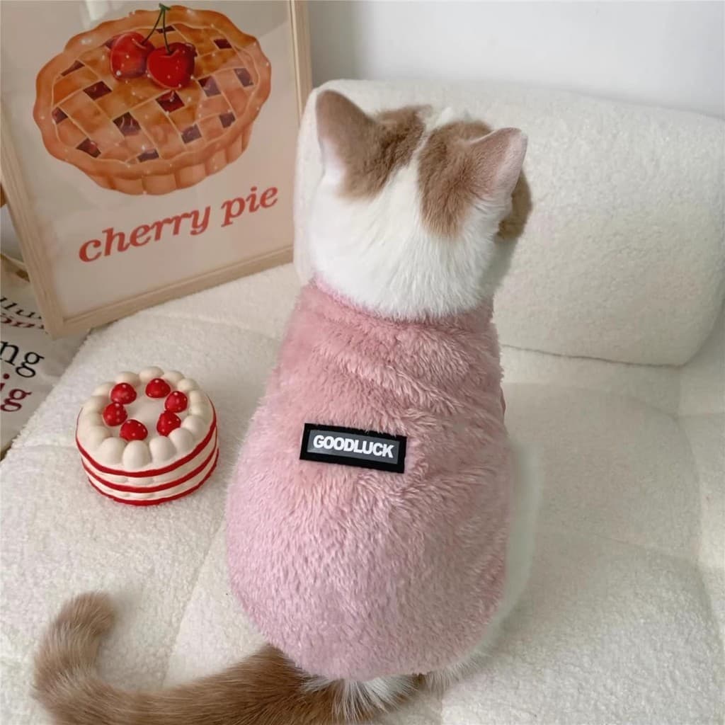 Gato de estimação roupas para cães outono inverno estilo Anti-fiapos fiapos quente britânico curto azul gato Muppet gato