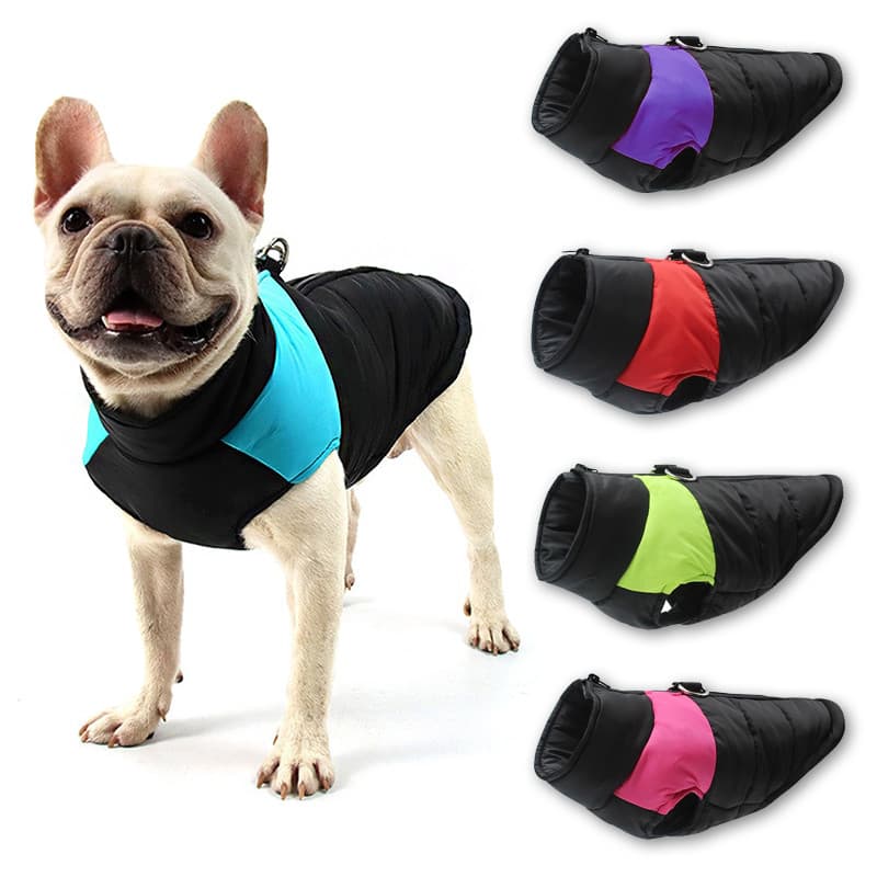 Casaco De Inverno Roupa De Cachorro Para Cães À Prova D'água Colete Acolchoado Com Zíper Jaquetas