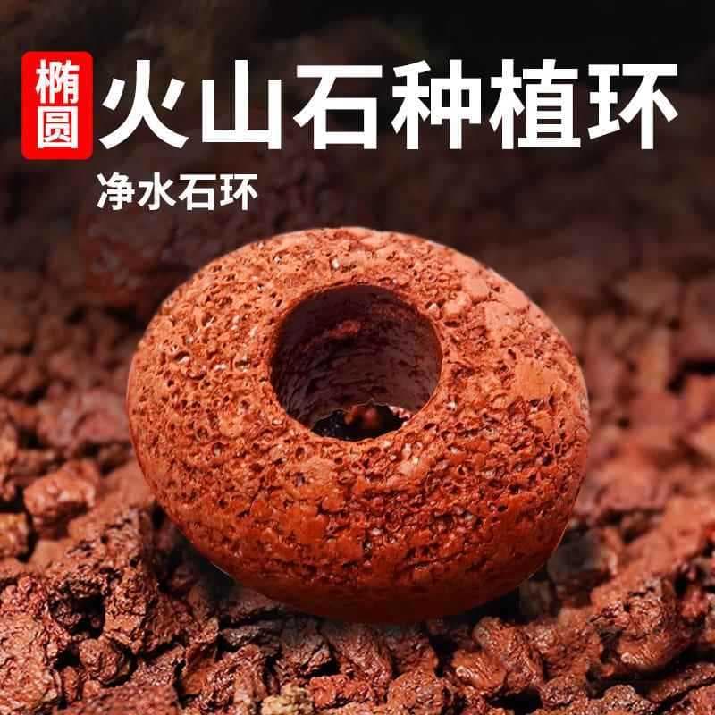 Pedra vulcânica Oval planta aquática base fixa anel de plantio fixo pedra vulcânica perfurada base de afundamento fixa