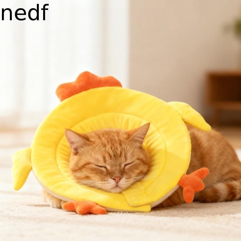 NEDFS Coleira De Recuperação De Gatinho , Esponja De Flanela Para Cosplay De Gato , Elisabetana , Cone De Pescoço Protet