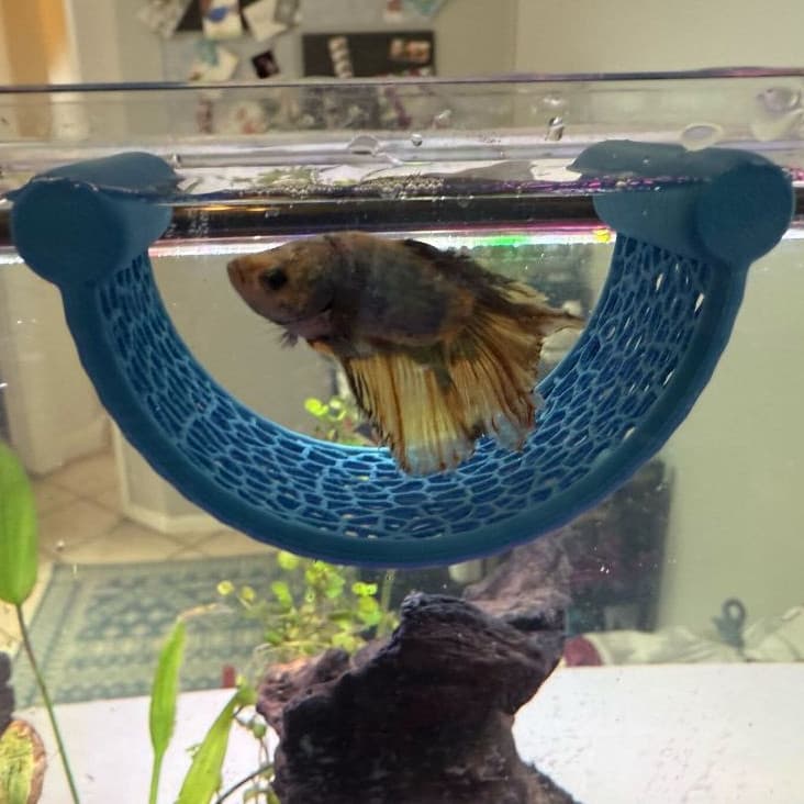Esconderijo Toca Rede Cama Flutuante para Aquário Ideal para Bettas e Peixes Pequenos Aquarismo Decoração