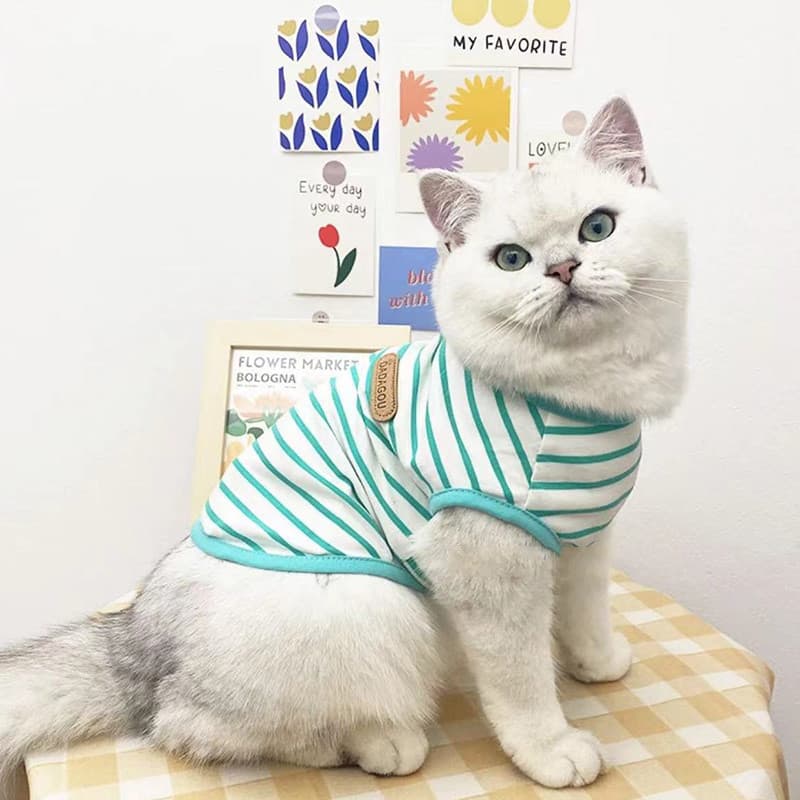 Roupas de gato estilo fino Anti-fiapos verão colete gatinho britânico americano curto prata gradiente Muppet gato Pet ro