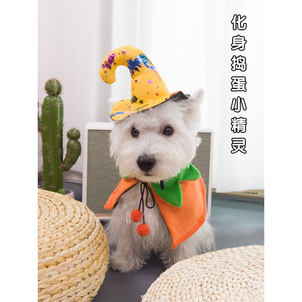 Animal de estimação roupas de Halloween cão Teddy outono inverno manto gato roupas festa de aniversário decoração traje