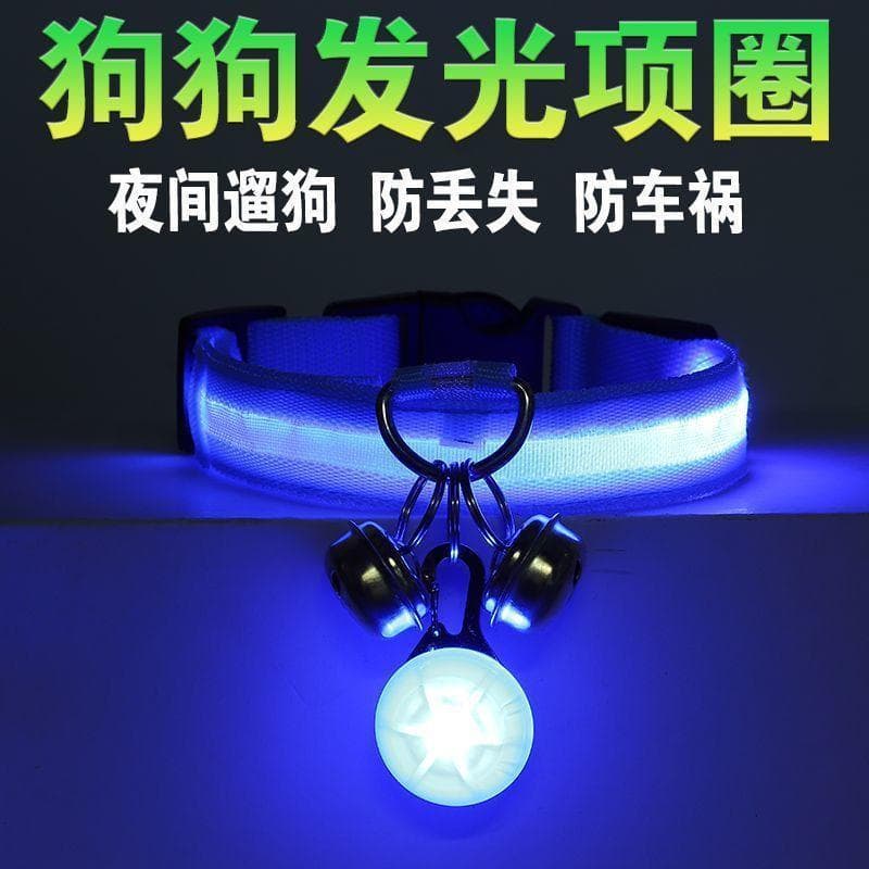 Coleira luminosa para cachorro de Nylon, coleira luminosa Anti-perda para caminhada noturna, coleira de cachorro pequena