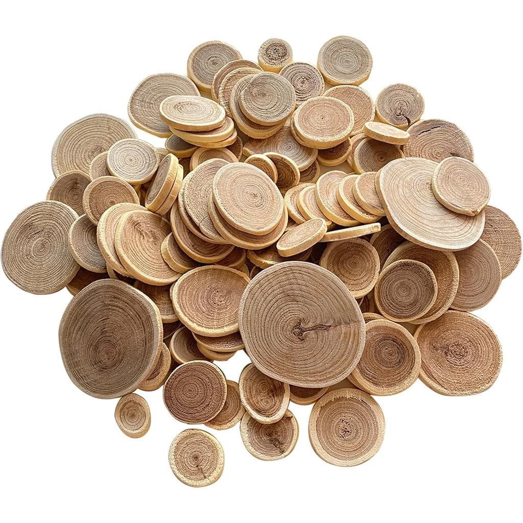 Fatias de Madeira Mini de 1"-2.5", Discos Redondos de Madeira Natural Não Acabada com Casca de Árvore de 15OZ para Decor