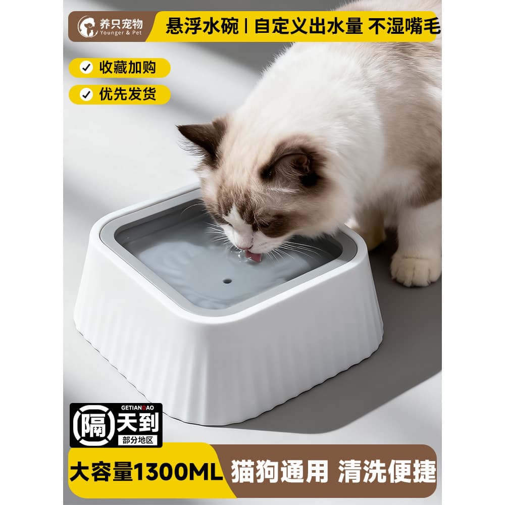 Tigela para gatos, boca não molhada, tigela de água suspensa, fonte potável para cães, bacia de água flutuante, filhote