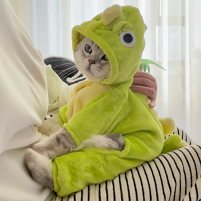 Roupas de gato outono inverno estilo tração dinossauro Muppets inglês curto gatinho Anti-fiapos cães de estimação invern