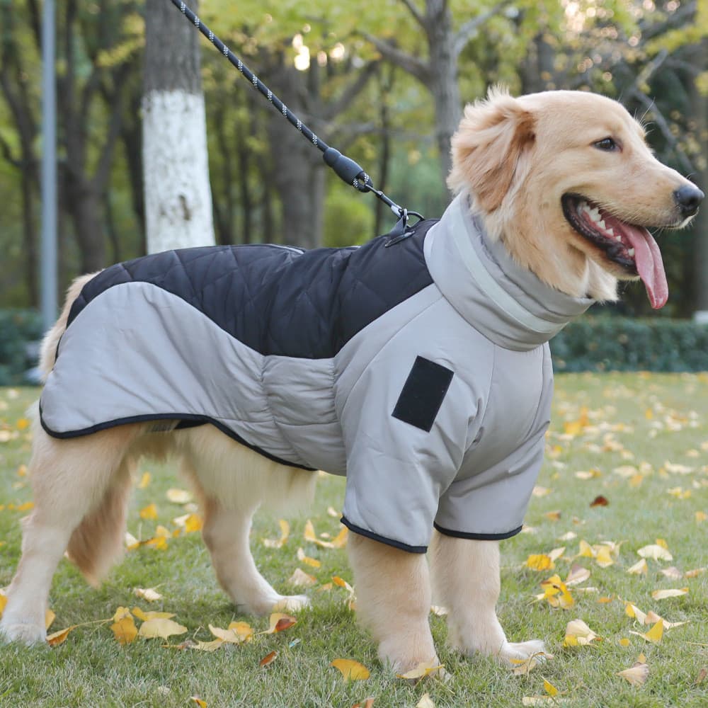 Roupas para cães outono inverno estilo médio grande cão Golden Retriever Labrador filhotes inverno animal de estimação d