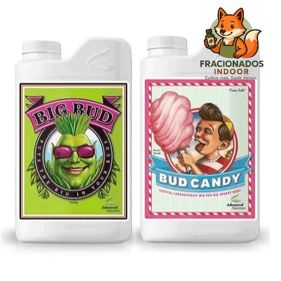 Fertilizante Big Bud + Bud candy 2x50ml Advanced Nutrients