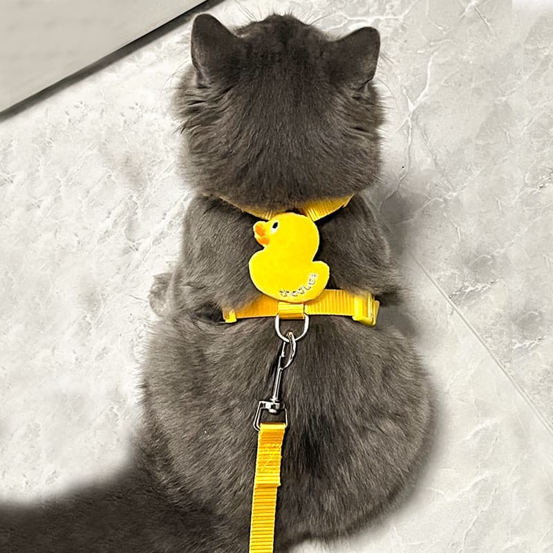 Corda de tração para gatos, corda de tração dedicada anti-quebra de alto valor, anti-perda, ajustável, estilo traseiro,