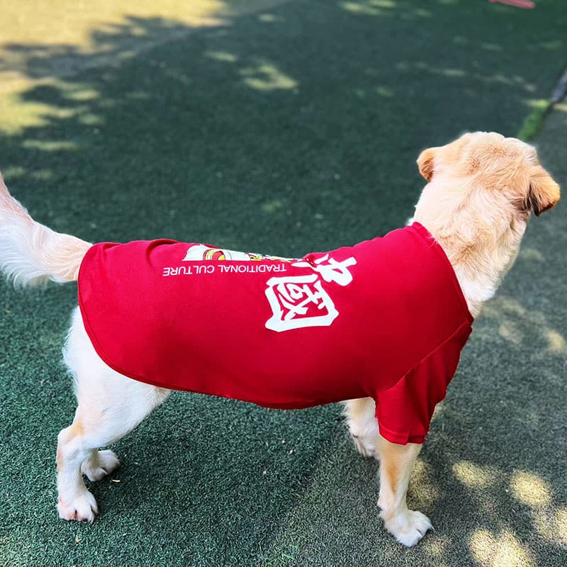 Roupa de Verão para Animais de Estimação para Golden Retrievers, Labradores, Cães de Médio e Grande Porte, Roupas para C
