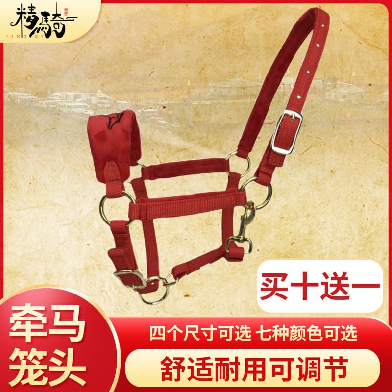 Conjunto completo de cabeçada para cavalo, equipamento de treinamento e controle de cavalo, cabeçada de Xinjiang, acabam