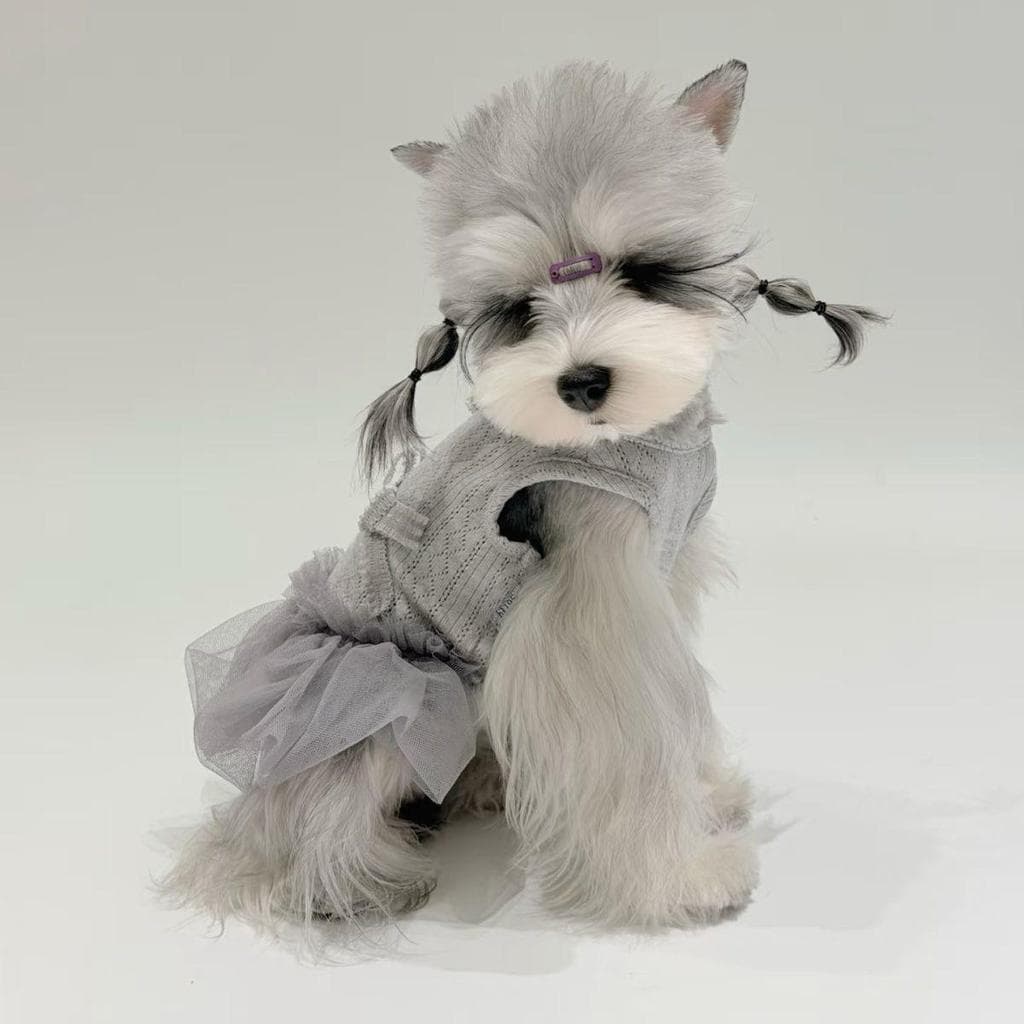 Animal de estimação estilo fino Schnauzer filhote de cachorro com tudo incluído Teddy roupas de verão cinta roupas para