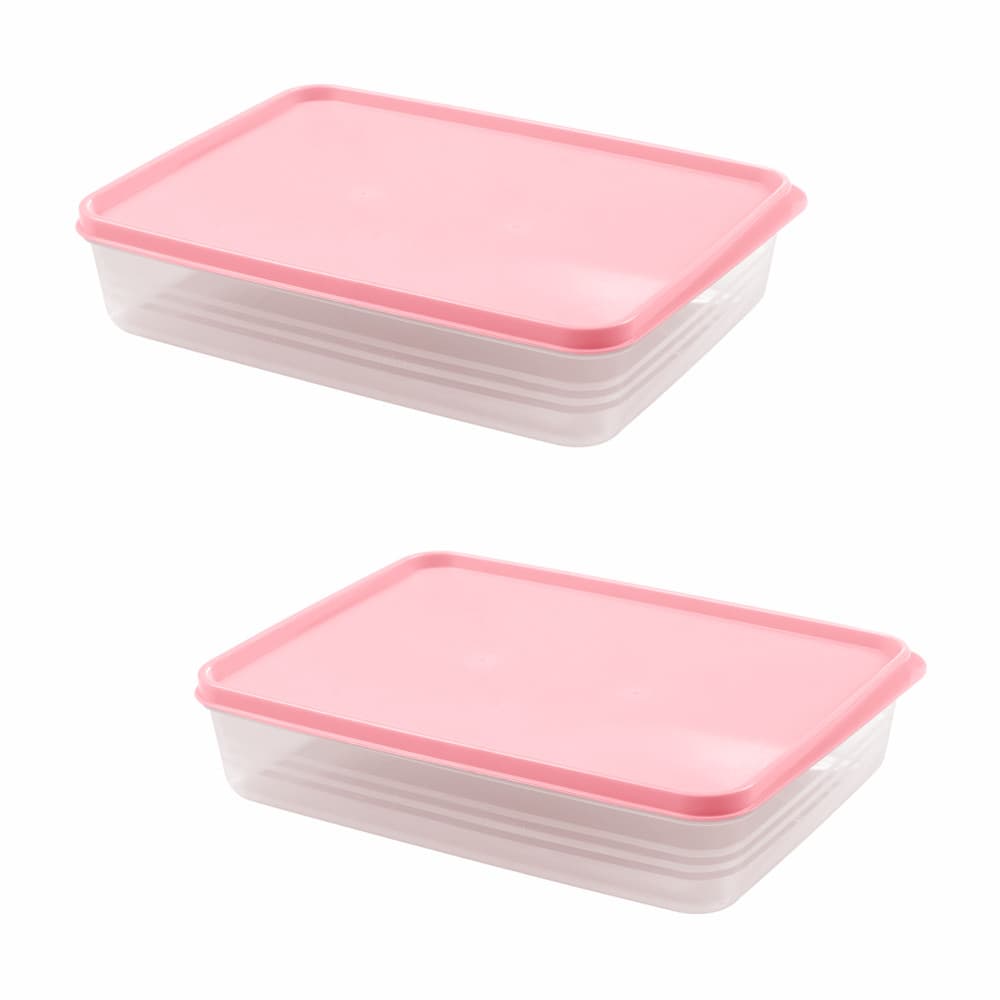 Kit com 2 Potes Retangular Hermético 2,3 litros Baixo - Alves Plastic