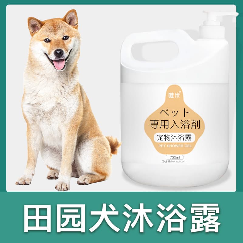 Cães pastorais chineses, cães nativos, dedicados, barril grande, Gel de banho, fragrância de limpeza de cabelo, filhotes