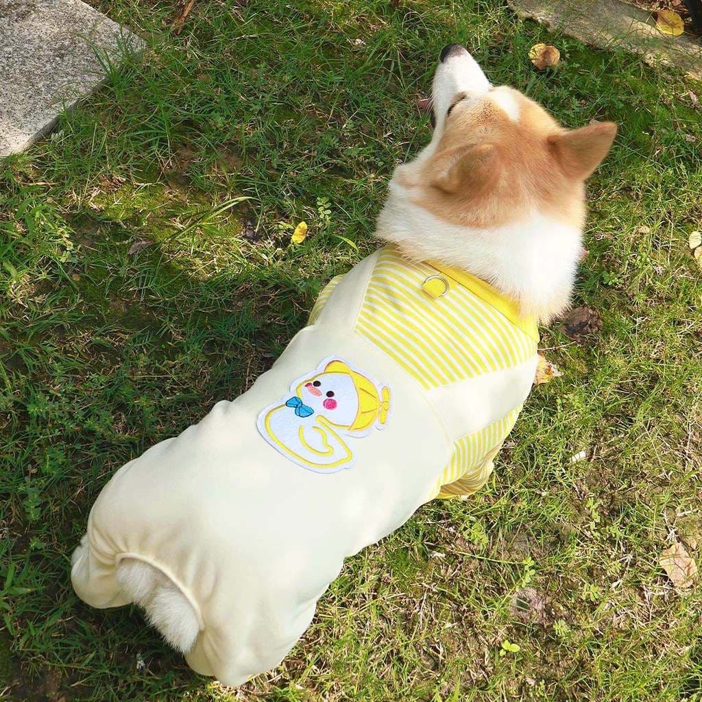 Shiba Inu Corgi Bichon roupas para cães outono inverno Pet roupas de quatro patas velo quente anti-sujo anti-derramament