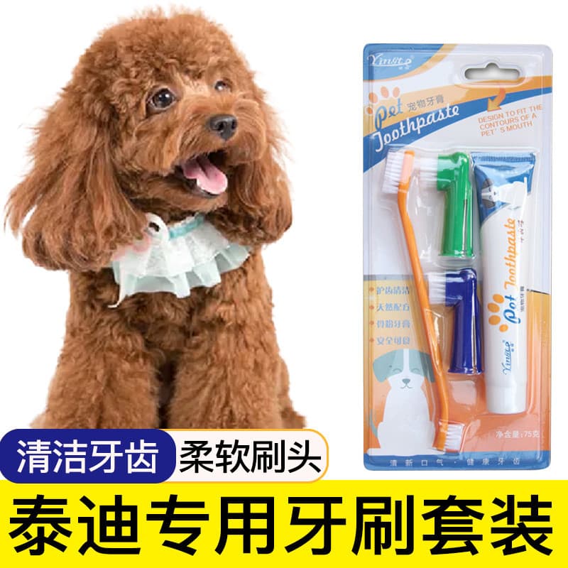 Teddy dedicado escova de dentes Pet pasta de dentes dedo berços escovação ferramentas dentes suprimentos limpeza dedo be