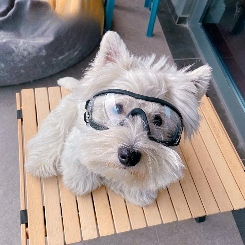 Óculos para cães, óculos transparentes, à prova d'água, à prova de vento, à prova de neve, ultravioleta, olhos para cães