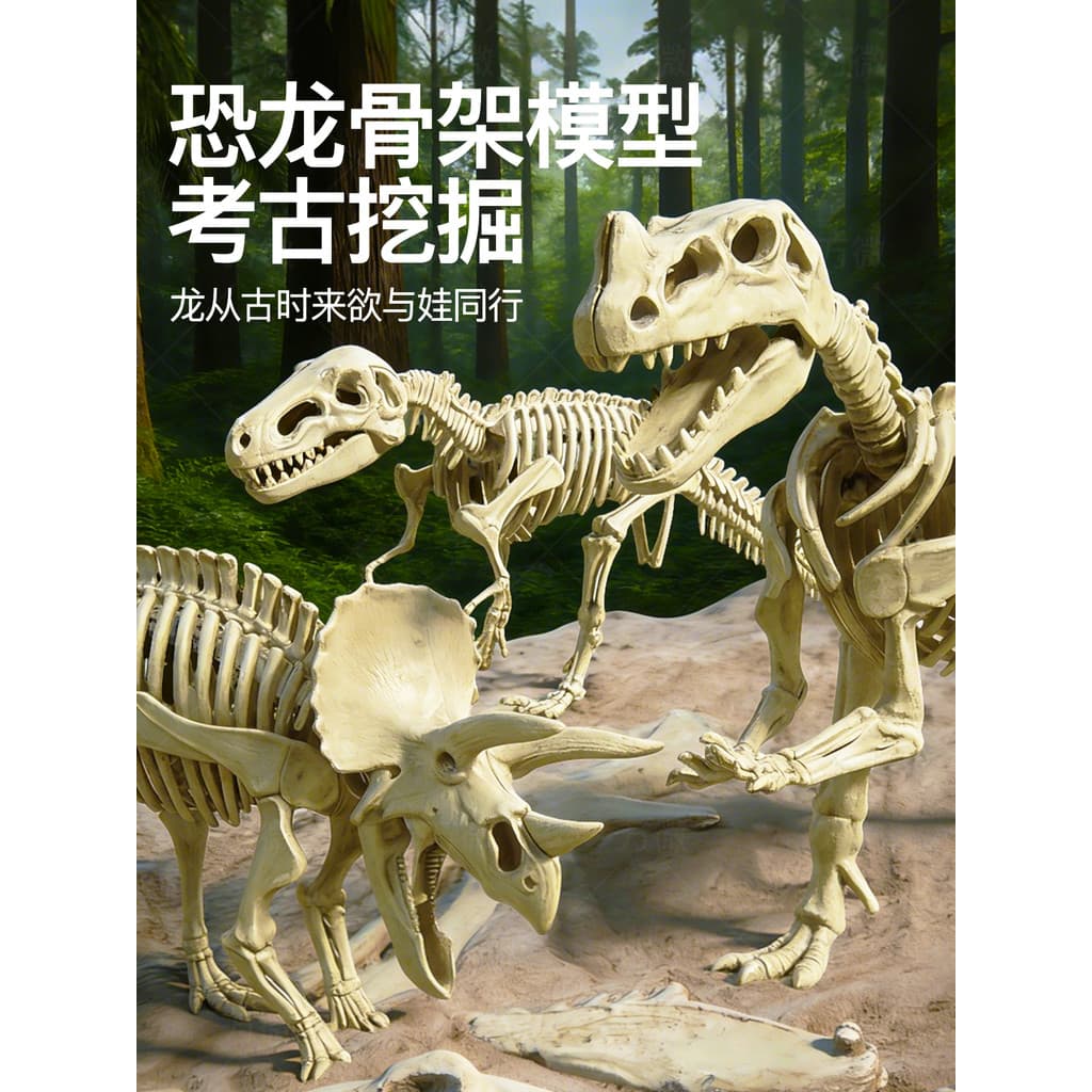 Dinossauro fóssil escavação arqueológica brinquedos segundo grau Volume 2 ciência crianças podem caber esqueleto modelo