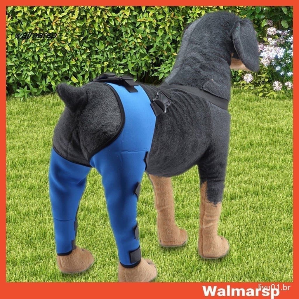 Joelheira Para Animais De Estimação Suporte Pernas De Cachorro Ajustável Lesões Acl Luxante Patela Osteoartrite De
