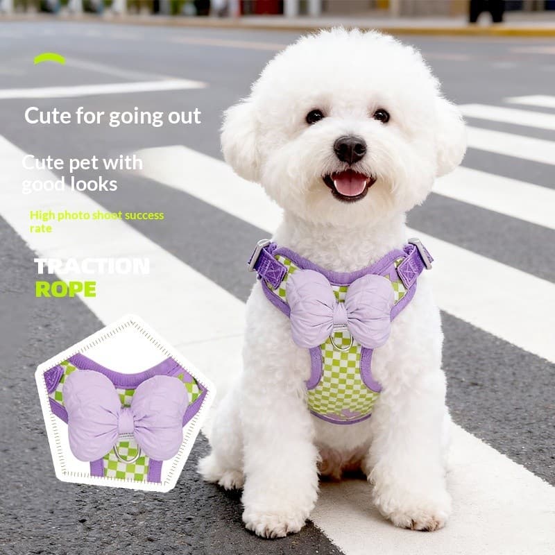 ✨Conjunto Peitoral com Guia – Cores Vibrantes, Alto Sucesso em Fotos, Pets de 2–15kg