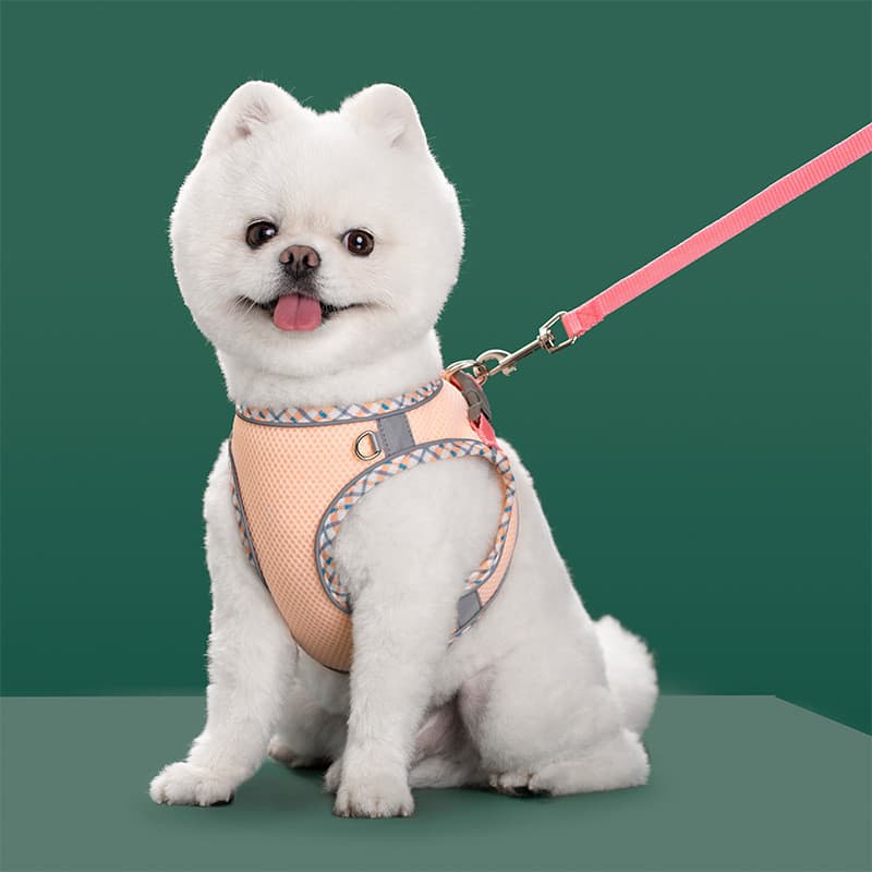 Trela do cão colete tipo pequeno cão andando trela do gato Outing cinta peito Anti-quebra cão peito volta