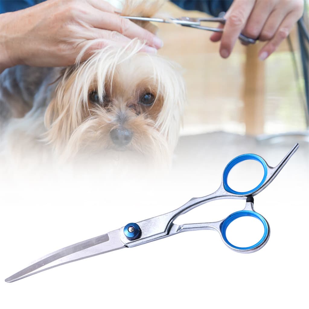Nova Segurança Pet Grooming Tesoura Profissional De Aço Inoxidável Cabelo Do Cão Portátil Ferramenta Corte
