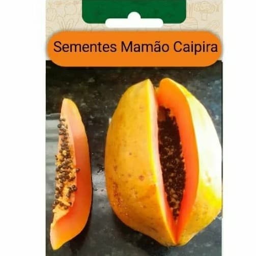 15 SEMENTES DE MAMÃO  CAIPIRA da roça  plante vaso Jardim horta