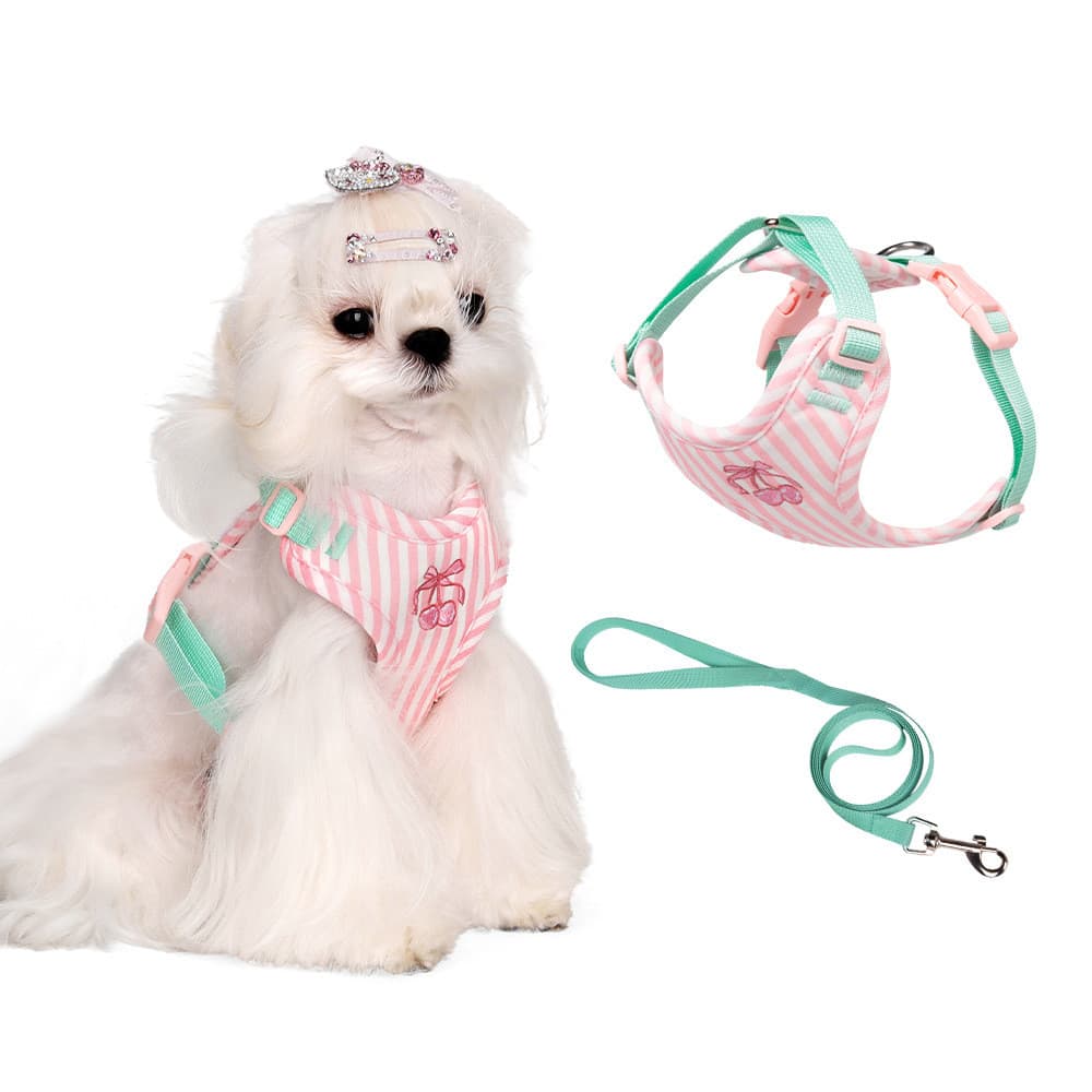 Arnês Estilo Colete Para Animais De Estimação , Coleira Cães Pequenos , Anti-Fuga , Corda Fofa Médios E Corrente Caminha