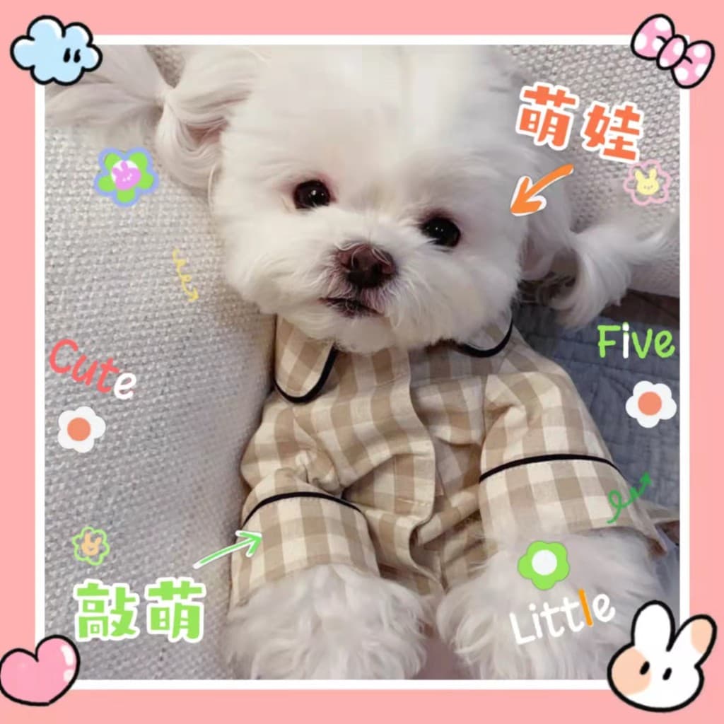 Coreano INS estilo cão primavera verão roupas finas Bichon Teddy gato pequeno cão Pet casa pijamas roupas