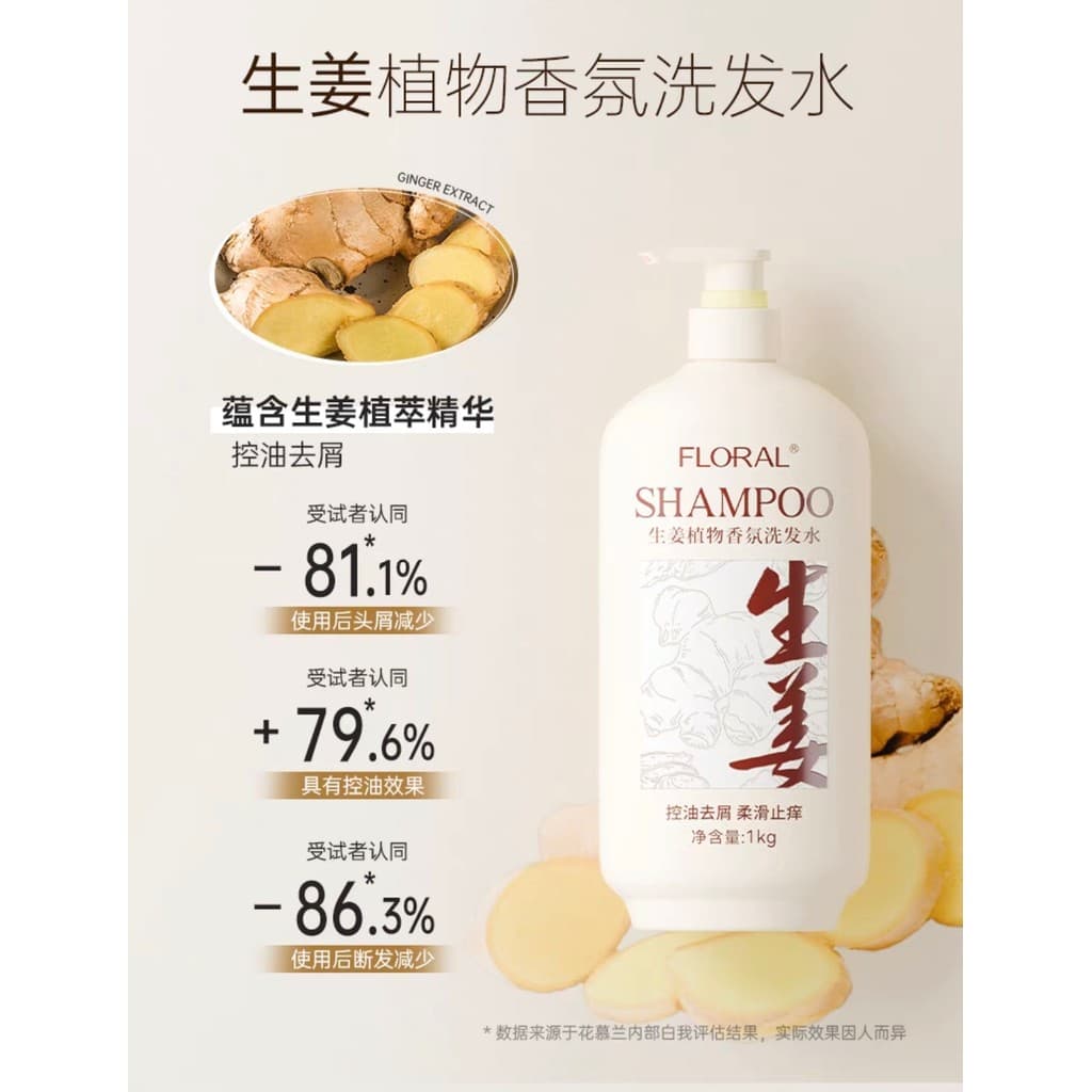 Hua Mulan gengibre shampoo controle de óleo fofo anti-caspa anti-coceira extrato de planta de ervas Polygonum Multifloru