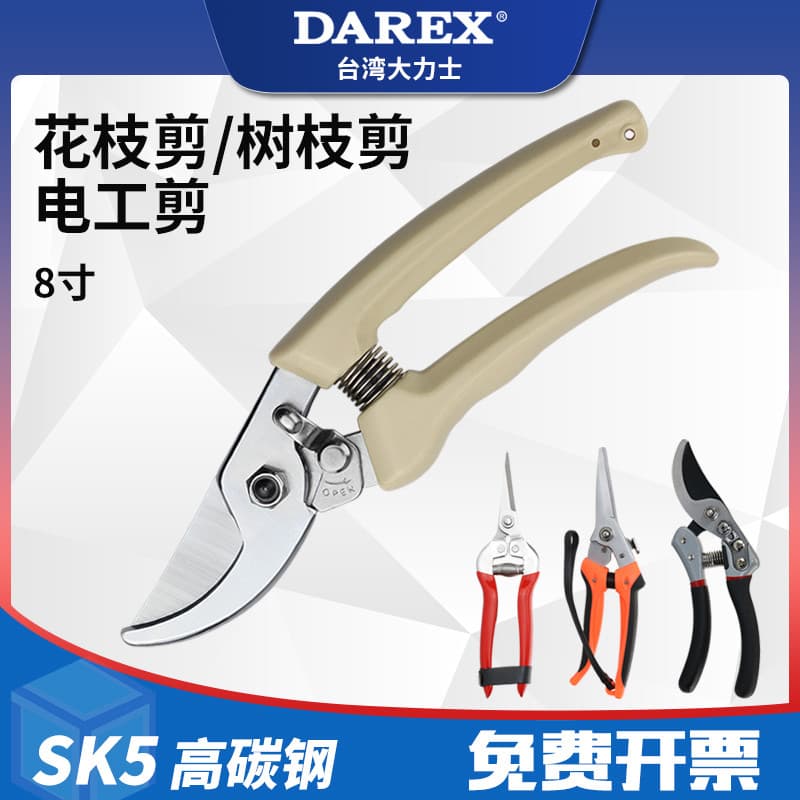 Taiwan DAREX Tesouras de jardinagem Tesouras de ramos de flores de jardim Tesouras de poda de árvores frutíferas domésti