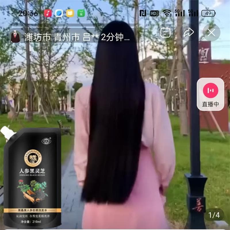 Herbal Zehei Ganoderma Lucidum Ginseng Shampoo de Raiz de Cabelo Qiqi Firme Miaozhai Planta Cabelo Nutritivo Bandeira Of