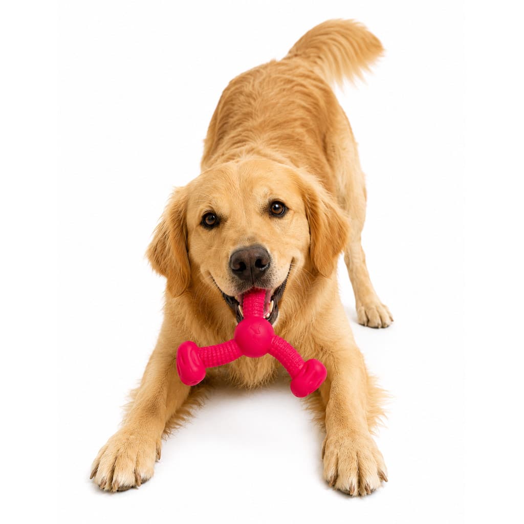 Brinquedo Mordedor Rokka Grande Pink Pet Cachorro Stark Pet