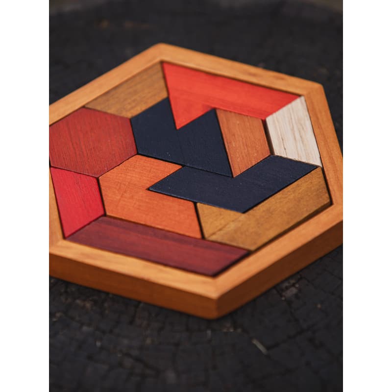 Quebra-cabeça de madeira quebra-cabeça correspondência xadrez crianças educacional adulto lazer brinquedos Hexagonal blo