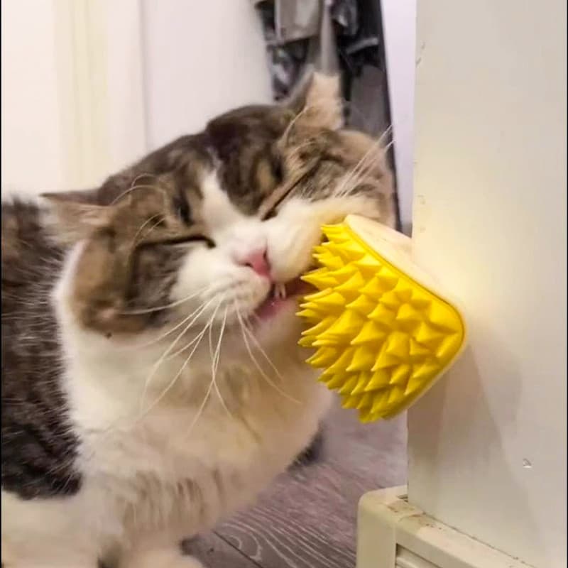Brinquedo para gatos Durian, pente para arranhar gatos, ferramenta útil para arranhar canto, placa para arranhar gatos,