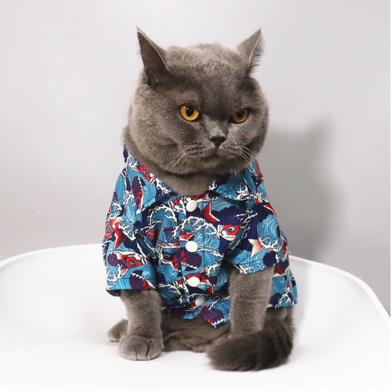 Verão estilo fino roupas para cães primavera outono roupas Teddy Bichon roupas gato roupas para animais de estimação est