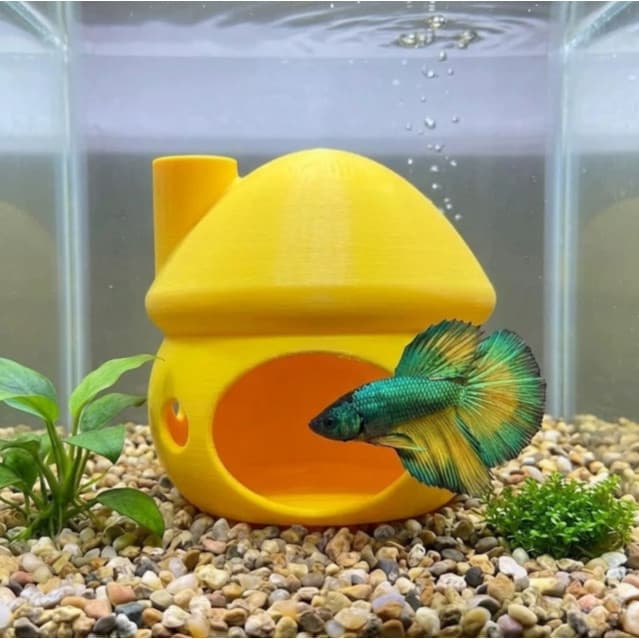 Toca Cogumelo para Peixe Betta - Decoração e Casa