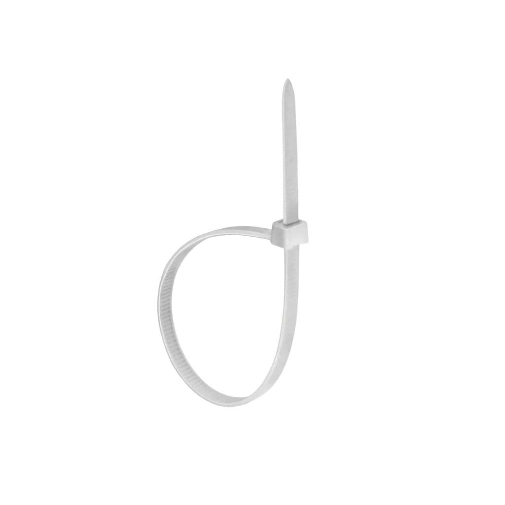 Bracadeira Flexivel Nylon 100x2,5mm Nt C/100un