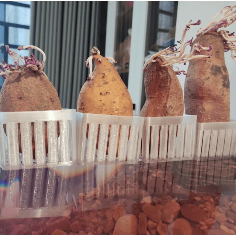 Suporte Vaso para Plantas em Aquário - Batata Doce Jiboia Lírio - Até 10mm Cesto Suspenso Hidroponia