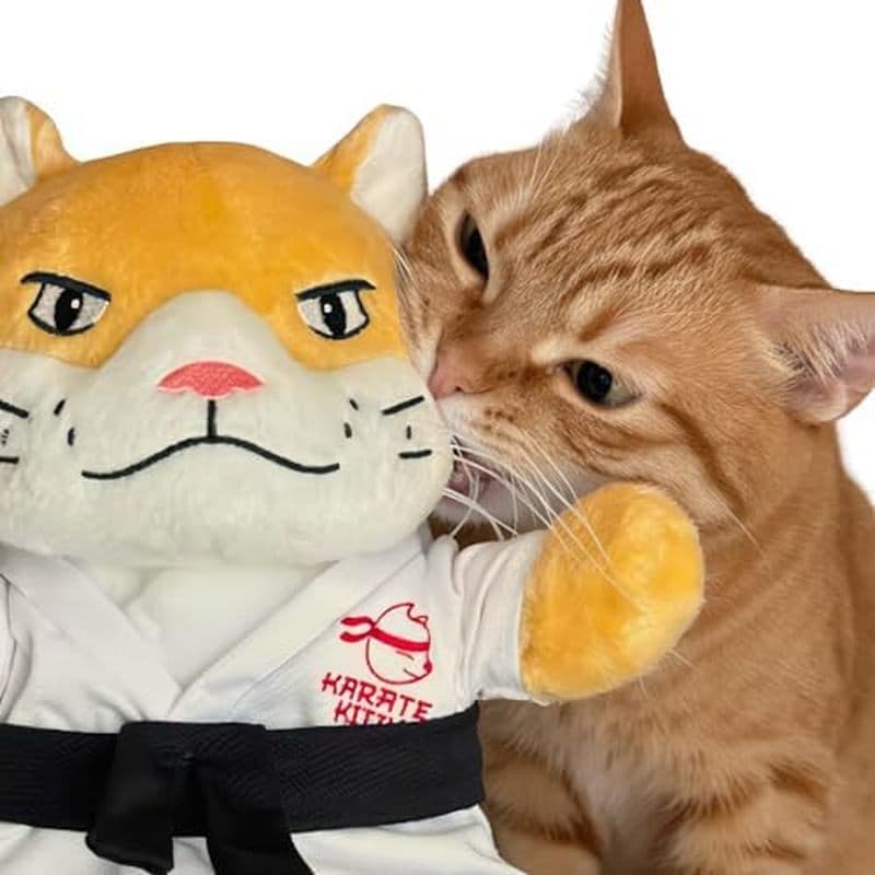KARATE KITTY-Luva De Luta Livre Para Gatos & amp ; Brinquedo De Fantoche Com Manga Protetora De Braço – Interativo De Bo
