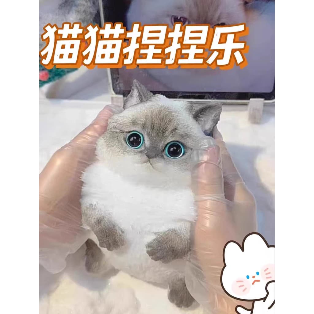 Simulação pitada descompressão bonito brinquedo para animais de estimação Super macio Silicone de alto valor feliz menin